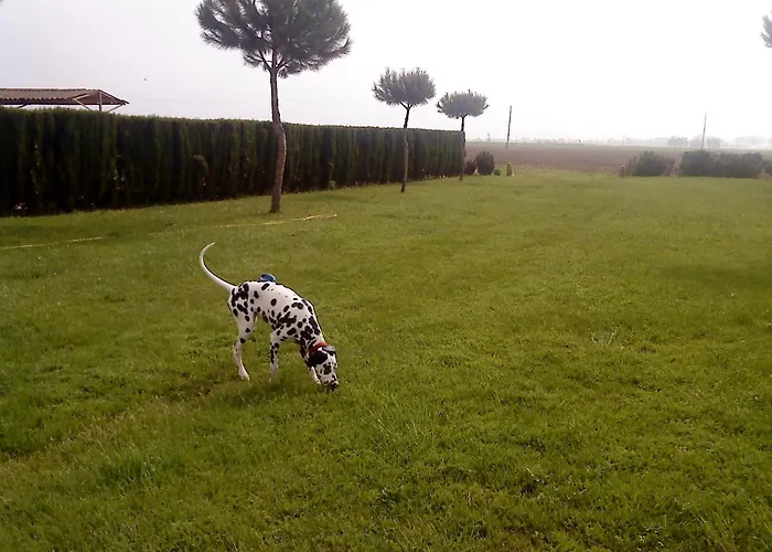 Guso Farm stay Castello  D'Empuries