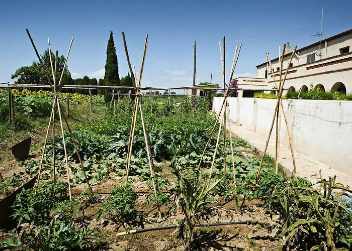 Guso Farm stay *